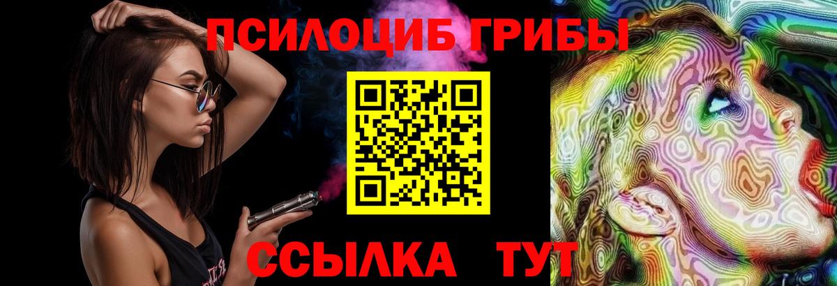 Галлюциногенные грибы Cubensis  Вход с VPN  Черняховск  Псилоцибиновые грибы ЛСД 